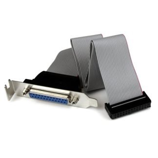 StarTech.com DB25 (F) - IDC26 DB-25 25 pin D-Sub IDC 26 pin Motherboard Header Gris
